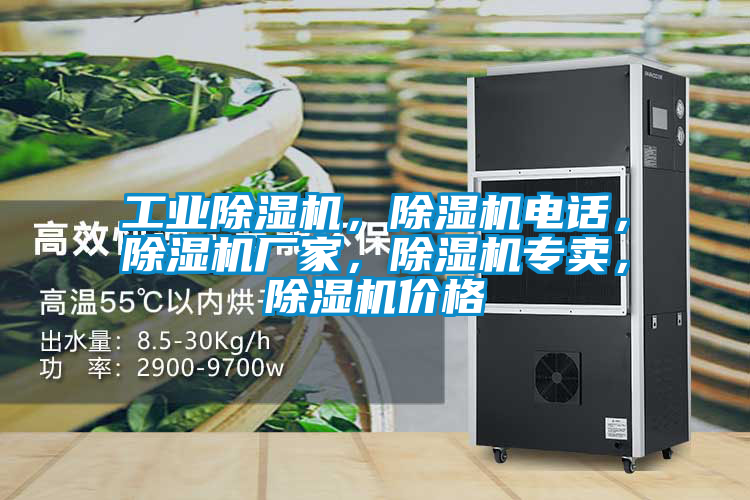 工業(yè)除濕機，除濕機電話，除濕機廠家，除濕機專賣，除濕機價格