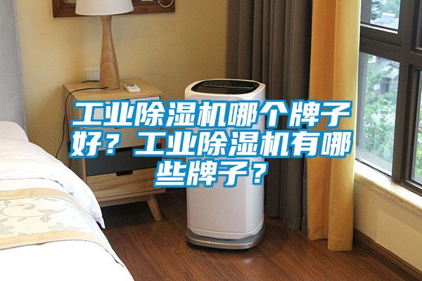 工業(yè)除濕機(jī)哪個牌子好？工業(yè)除濕機(jī)有哪些牌子？