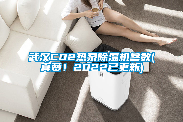 武漢CO2熱泵除濕機參數(shù)(真贊！2022已更新)