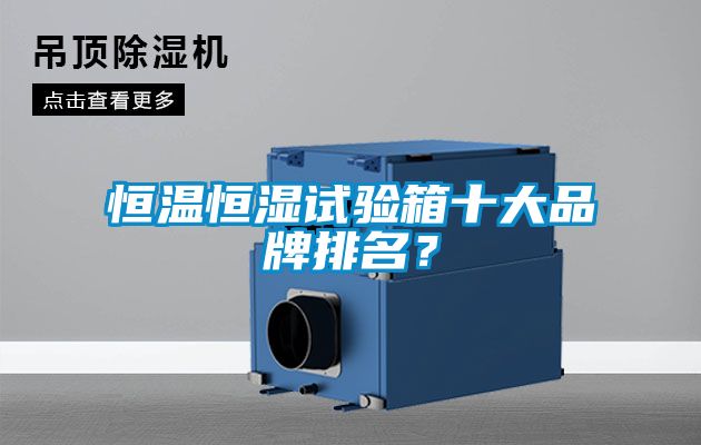 恒溫恒濕試驗(yàn)箱十大品牌排名？