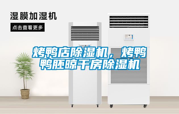 烤鴨店除濕機(jī)，烤鴨鴨胚晾干房除濕機(jī)