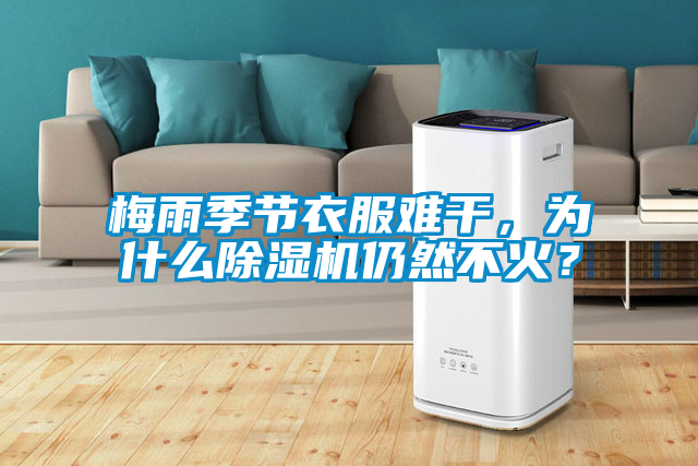 梅雨季節(jié)衣服難干，為什么除濕機仍然不火？