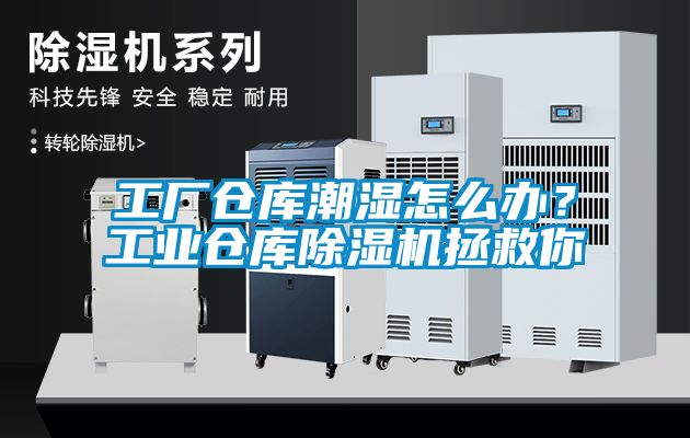 工廠倉(cāng)庫(kù)潮濕怎么辦？工業(yè)倉(cāng)庫(kù)除濕機(jī)拯救你