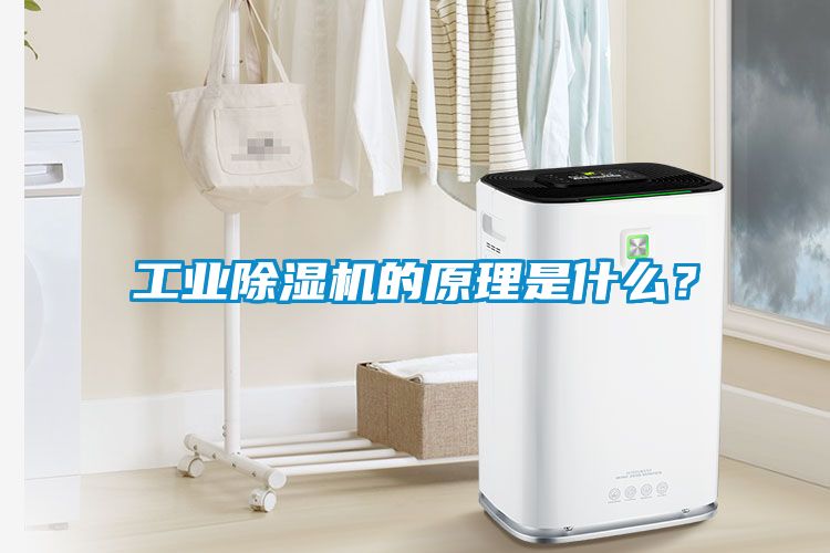 工業(yè)除濕機(jī)的原理是什么？