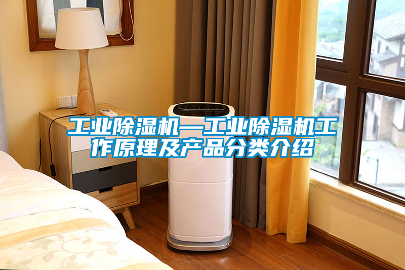 工業(yè)除濕機(jī)—工業(yè)除濕機(jī)工作原理及產(chǎn)品分類(lèi)介紹