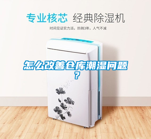 怎么改善倉庫潮濕問題？
