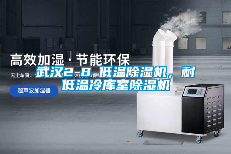 武漢2-8℃低溫除濕機，耐低溫冷庫室除濕機