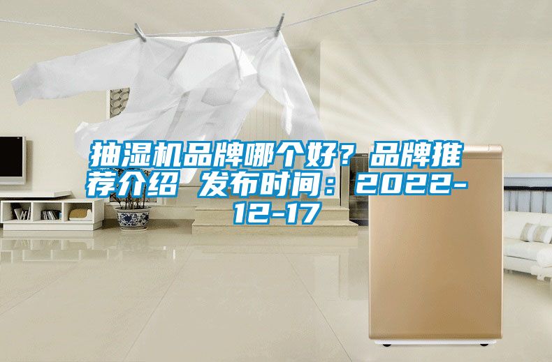 抽濕機(jī)品牌哪個(gè)好？品牌推薦介紹 發(fā)布時(shí)間：2022-12-17