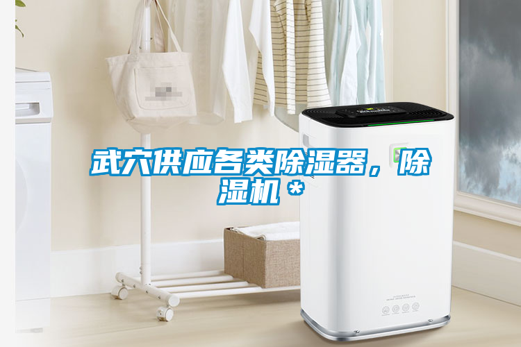 武穴供應(yīng)各類(lèi)除濕器，除濕機(jī)＊