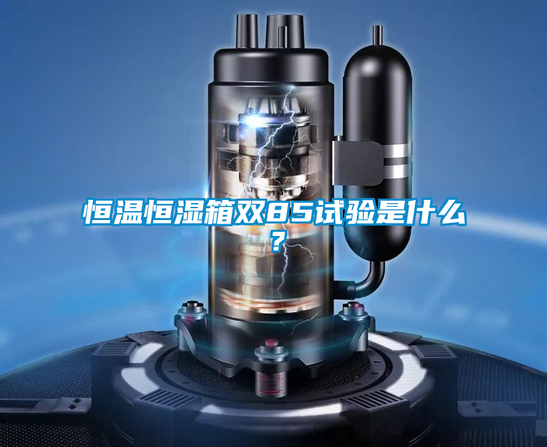 恒溫恒濕箱雙85試驗是什么？