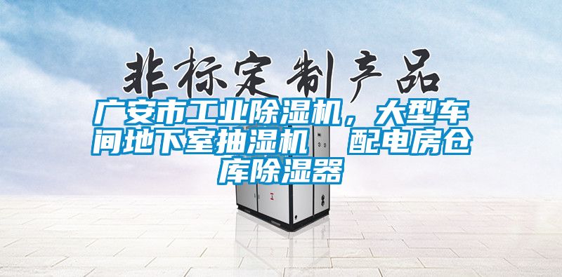 廣安市工業(yè)除濕機(jī)，大型車間地下室抽濕機(jī)  配電房倉(cāng)庫(kù)除濕器