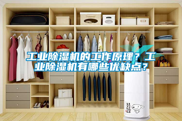 工業(yè)除濕機(jī)的工作原理？工業(yè)除濕機(jī)有哪些優(yōu)缺點(diǎn)？