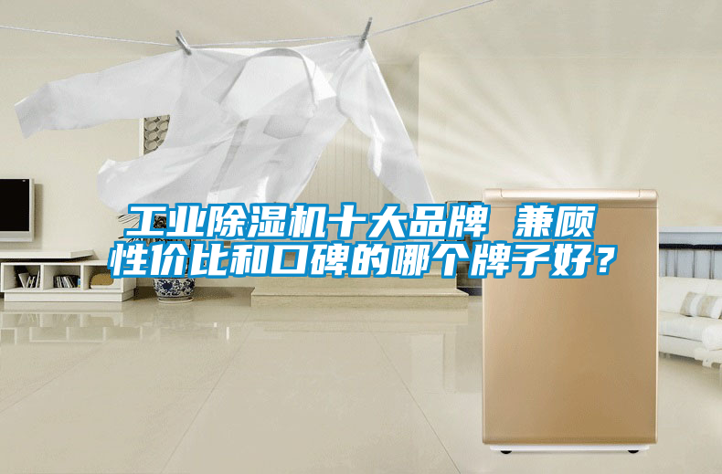 工業(yè)除濕機(jī)十大品牌 兼顧性價(jià)比和口碑的哪個(gè)牌子好？