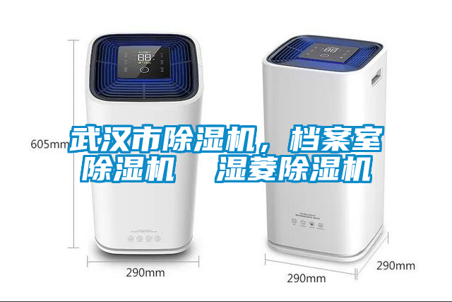 武漢市除濕機，檔案室除濕機  濕菱除濕機