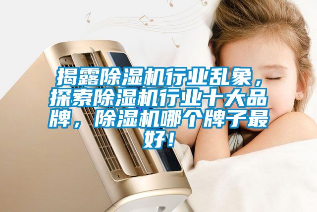 揭露除濕機(jī)行業(yè)亂象，探索除濕機(jī)行業(yè)十大品牌，除濕機(jī)哪個(gè)牌子最好！