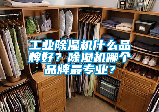 工業(yè)除濕機(jī)什么品牌好？除濕機(jī)哪個(gè)品牌最專業(yè)？