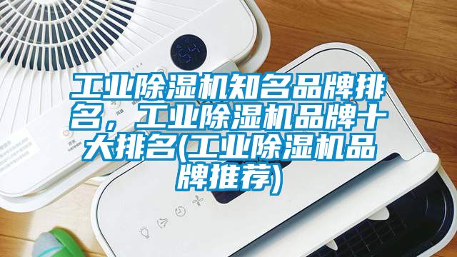 工業(yè)除濕機知名品牌排名，工業(yè)除濕機品牌十大排名(工業(yè)除濕機品牌推薦)