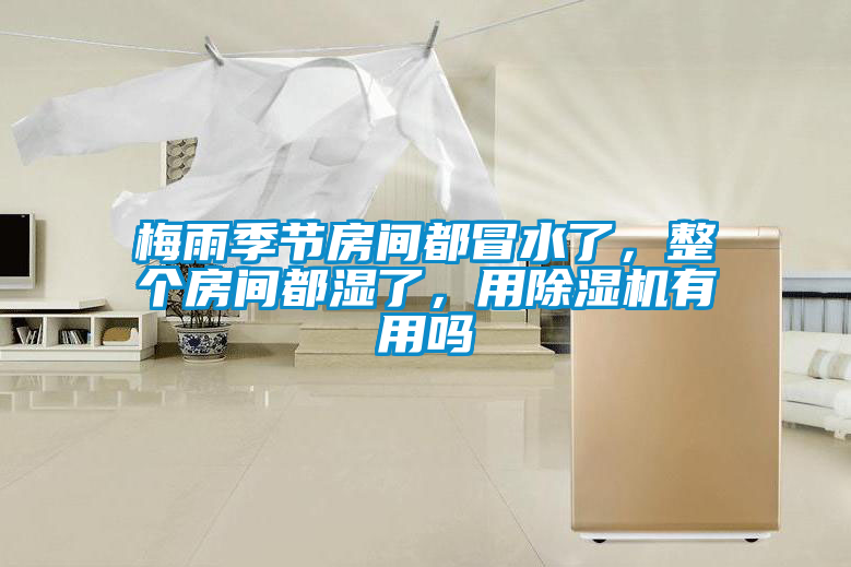 梅雨季節(jié)房間都冒水了，整個(gè)房間都濕了，用除濕機(jī)有用嗎