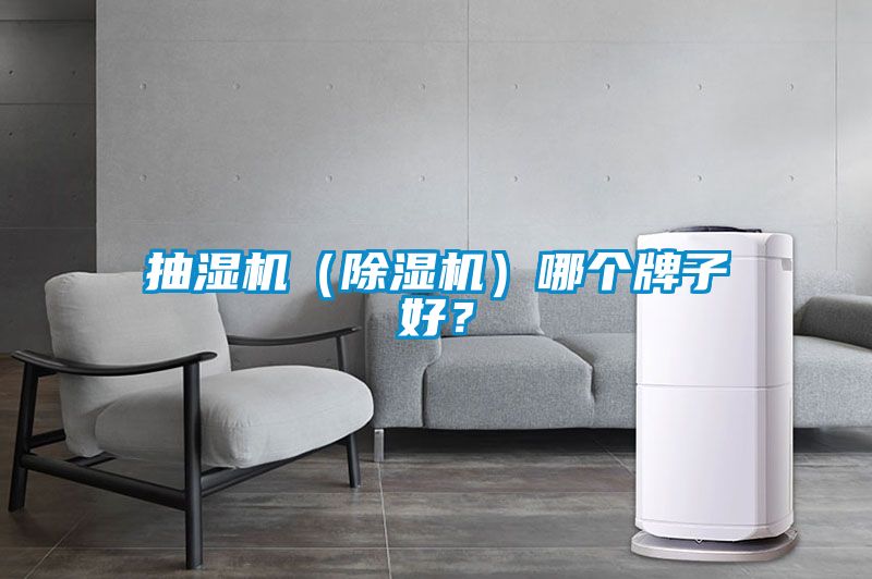 抽濕機(jī)（除濕機(jī)）哪個(gè)牌子好？