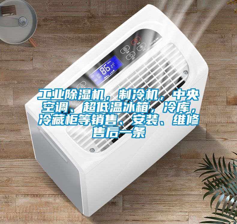 工業(yè)除濕機(jī)，制冷機(jī)，中央空調(diào)、超低溫冰箱，冷庫(kù)，冷藏柜等銷售、安裝、維修售后一條