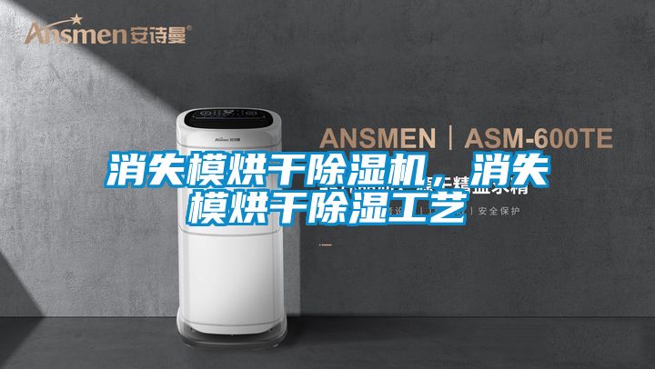 消失模烘干除濕機(jī)，消失模烘干除濕工藝