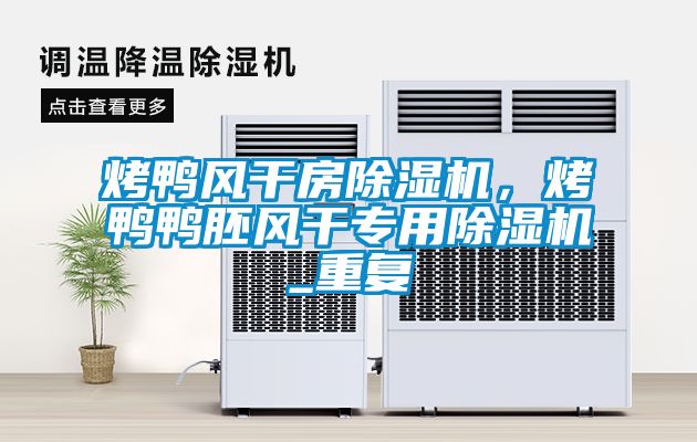 烤鴨風(fēng)干房除濕機(jī)，烤鴨鴨胚風(fēng)干專用除濕機(jī)_重復(fù)