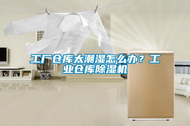 工廠倉庫太潮濕怎么辦？工業(yè)倉庫除濕機(jī)