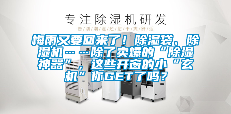 梅雨又要回來了！除濕袋、除濕機……除了賣爆的“除濕神器”，這些開窗的小“玄機”你GET了嗎？