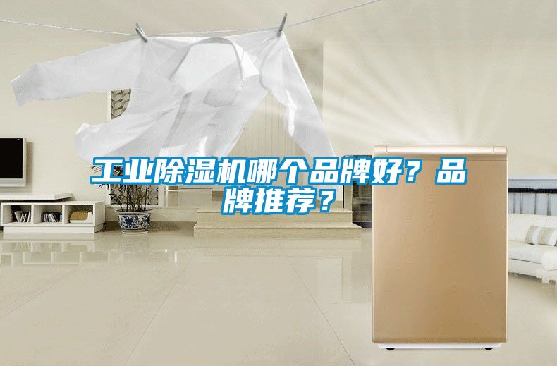 工業(yè)除濕機哪個品牌好？品牌推薦？