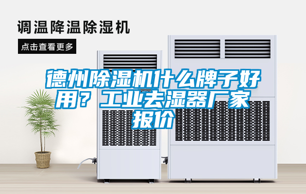 德州除濕機(jī)什么牌子好用？工業(yè)去濕器廠家報價