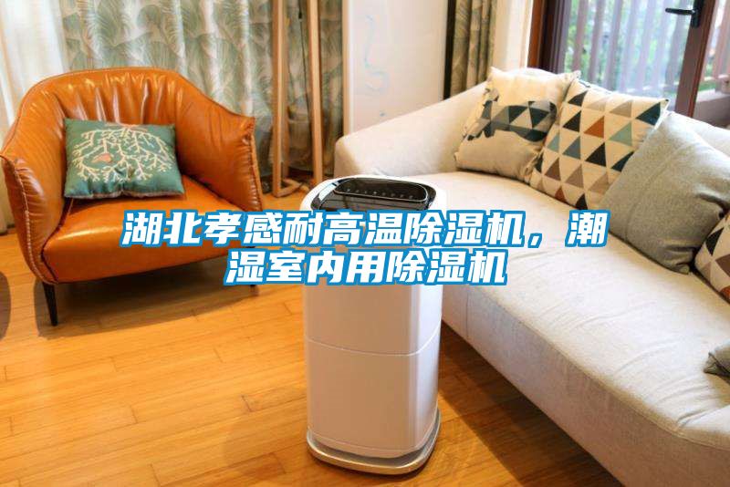 湖北孝感耐高溫除濕機，潮濕室內(nèi)用除濕機