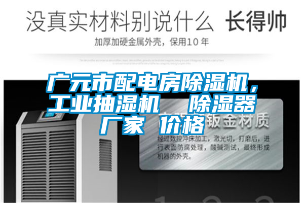 廣元市配電房除濕機(jī)，工業(yè)抽濕機(jī)  除濕器廠家 價(jià)格
