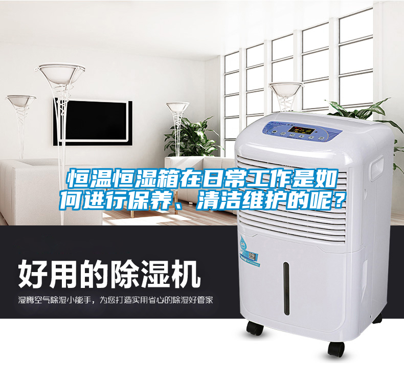 恒溫恒濕箱在日常工作是如何進(jìn)行保養(yǎng)、清潔維護(hù)的呢？