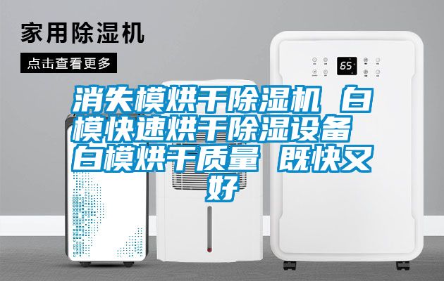 消失模烘干除濕機 白?？焖俸娓沙凉裨O備 白模烘干質量 既快又好