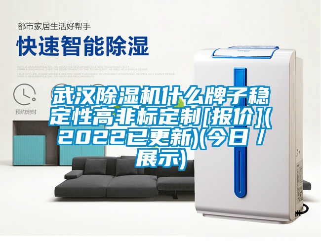 武漢除濕機(jī)什么牌子穩(wěn)定性高非標(biāo)定制[報(bào)價](2022已更新)(今日／展示)