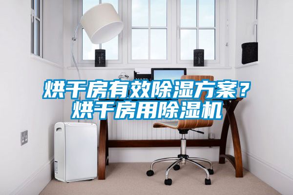 烘干房有效除濕方案？烘干房用除濕機(jī)