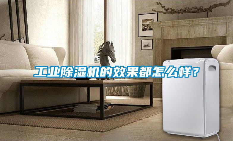 工業(yè)除濕機(jī)的效果都怎么樣？