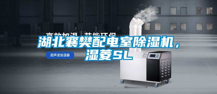 湖北襄樊配電室除濕機，濕菱SL