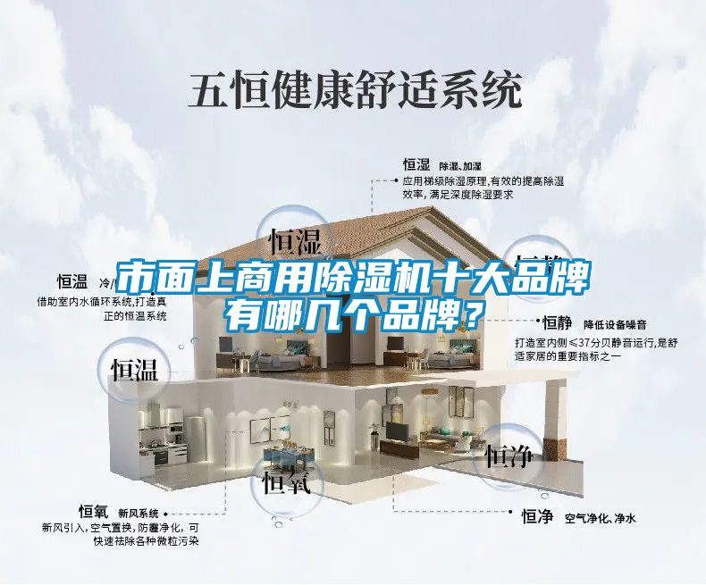 市面上商用除濕機(jī)十大品牌有哪幾個(gè)品牌？