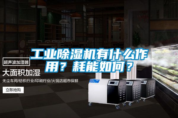 工業(yè)除濕機(jī)有什么作用？耗能如何？
