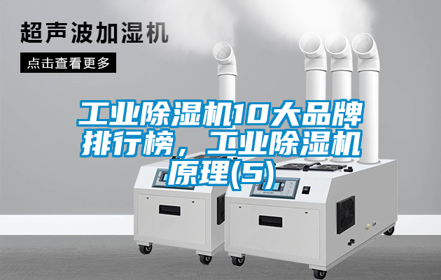 工業(yè)除濕機10大品牌排行榜，工業(yè)除濕機原理(5)