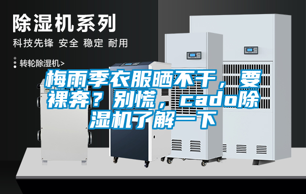 梅雨季衣服曬不干，要裸奔？別慌，cado除濕機了解一下