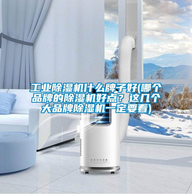 工業(yè)除濕機(jī)什么牌子好(哪個品牌的除濕機(jī)好點(diǎn)？這幾個大品牌除濕機(jī)一定要看)
