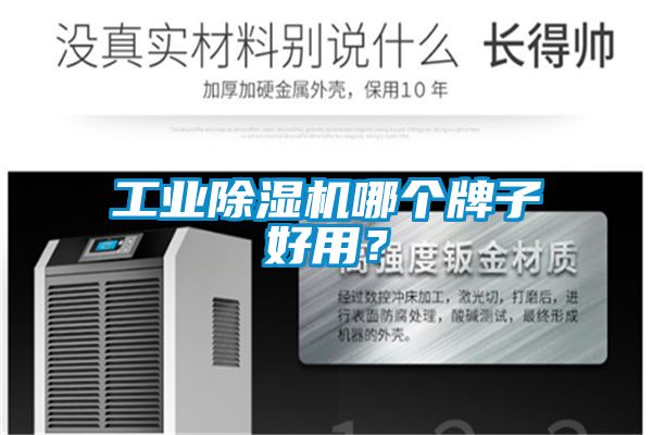 工業(yè)除濕機(jī)哪個牌子好用？