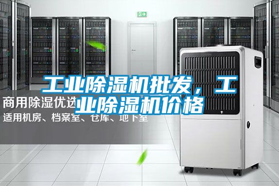 工業(yè)除濕機(jī)批發(fā)，工業(yè)除濕機(jī)價格