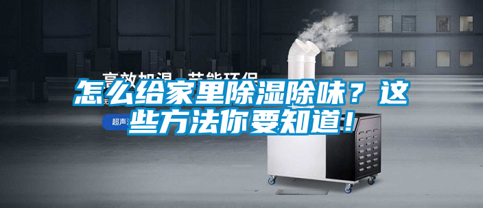 怎么給家里除濕除味？這些方法你要知道！