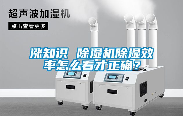 漲知識 除濕機除濕效率怎么看才正確？