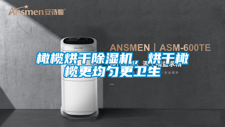橄欖烘干除濕機(jī)，烘干橄欖更均勻更衛(wèi)生