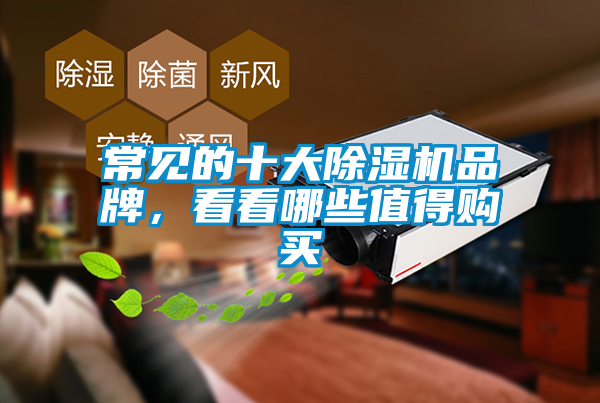 常見(jiàn)的十大除濕機(jī)品牌，看看哪些值得購(gòu)買
