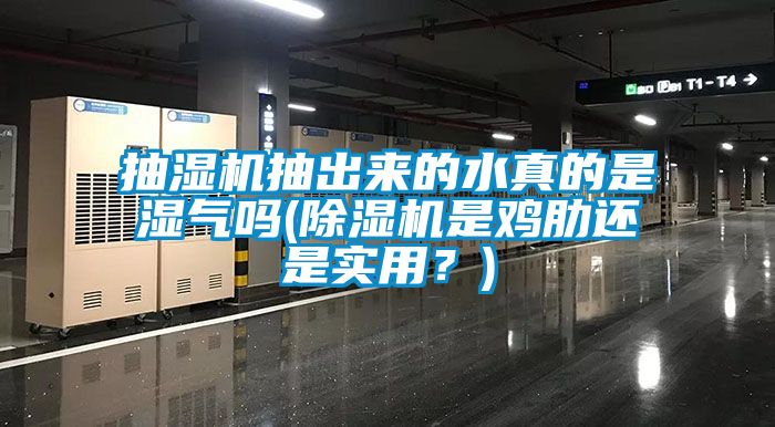 抽濕機(jī)抽出來的水真的是濕氣嗎(除濕機(jī)是雞肋還是實(shí)用？)